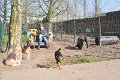 Afb_20170409w (4)